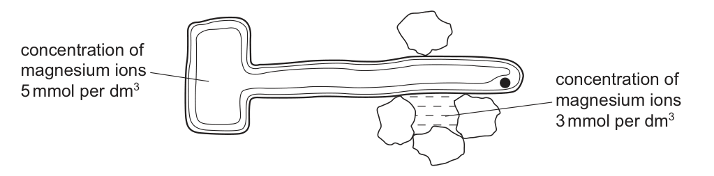 BIOLOGY PAPER 1 (NO. 4) – Exam-Corner