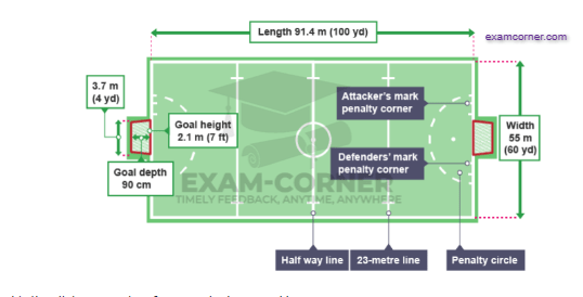hockey-player-positions-and-playing-area-exam-corner