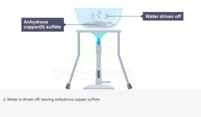 Reversible reactions – Exam-Corner